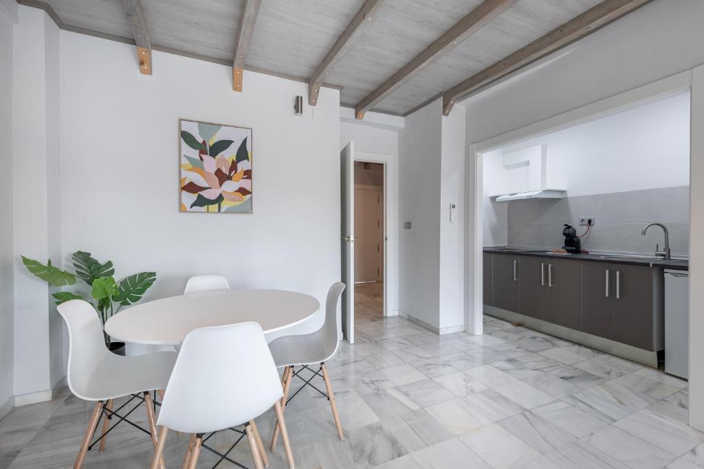 Kuchyňa alebo kuchynka v ubytovaní Apartamentos Realejo Granada Centro 3000