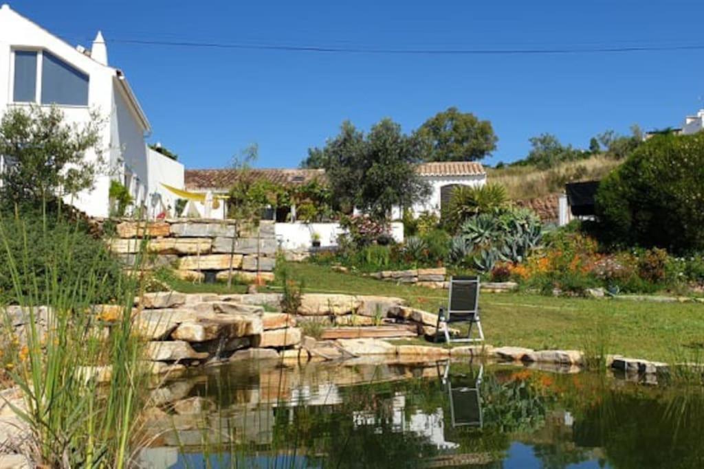 a yard with a pond with a chair and a house at Lemontree house set in the countryside. in Água de Tábuas