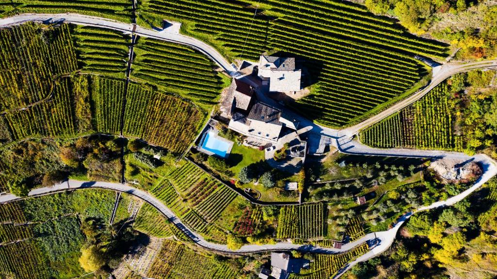 Kép VILLA DEL LUPO: Crown of The Valtellina szállásáról Tresenda városában a galériában