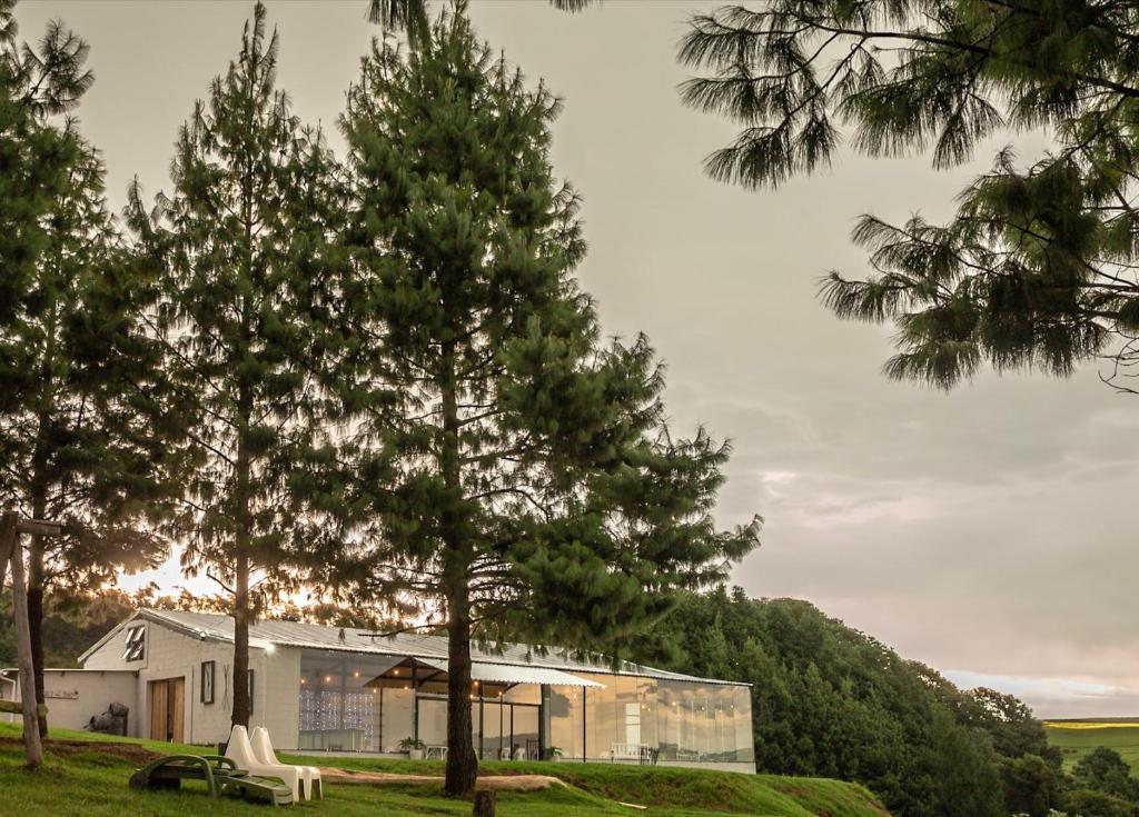 una casa con alberi di fronte a un edificio di Dargle Forest Lodge a Dargle