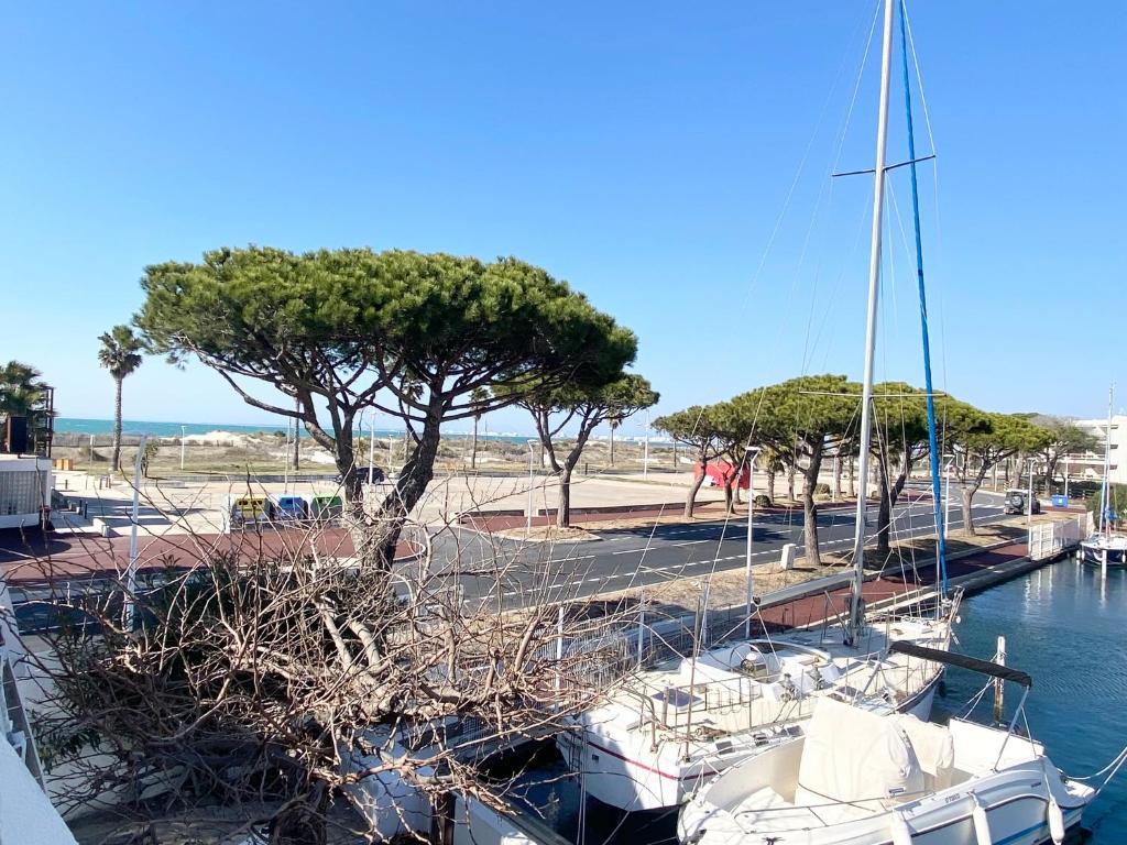 un groupe de bateaux amarrés dans un port de plaisance avec un arbre dans l'établissement AS23077-Marina P3-vue mer, grande terrasse,parking, au Grau-du-Roi