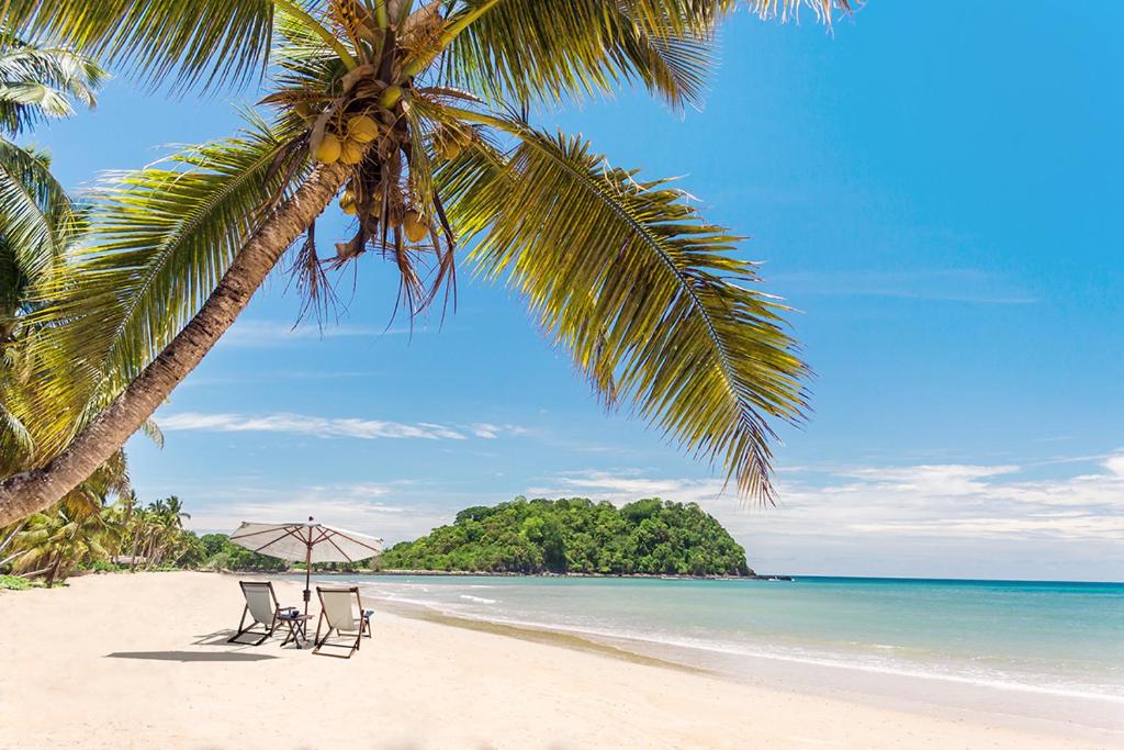 two chairs and a palm tree on a beach at A casa di Giorgia lodge Nosy be Andilana in Nosy Be