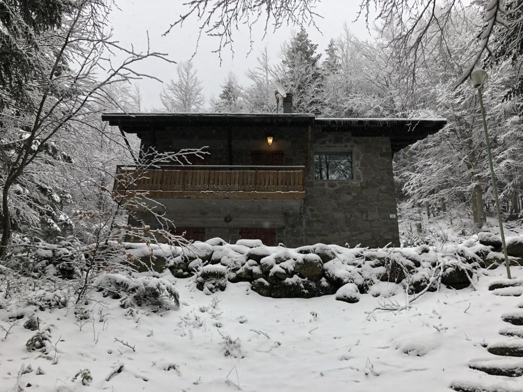 una piccola cabina nella neve in una foresta di Baita Le Pozze ad Abetone