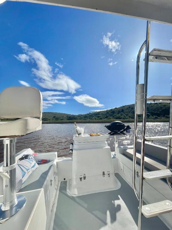a cat sitting on the back of a boat on the water at Houseboats - Living The Breede - Valid Skippers License compulsory in Malgas