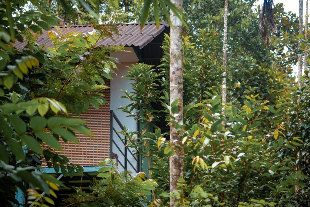 a house in the midst of trees at Edens Munnar in Munnar