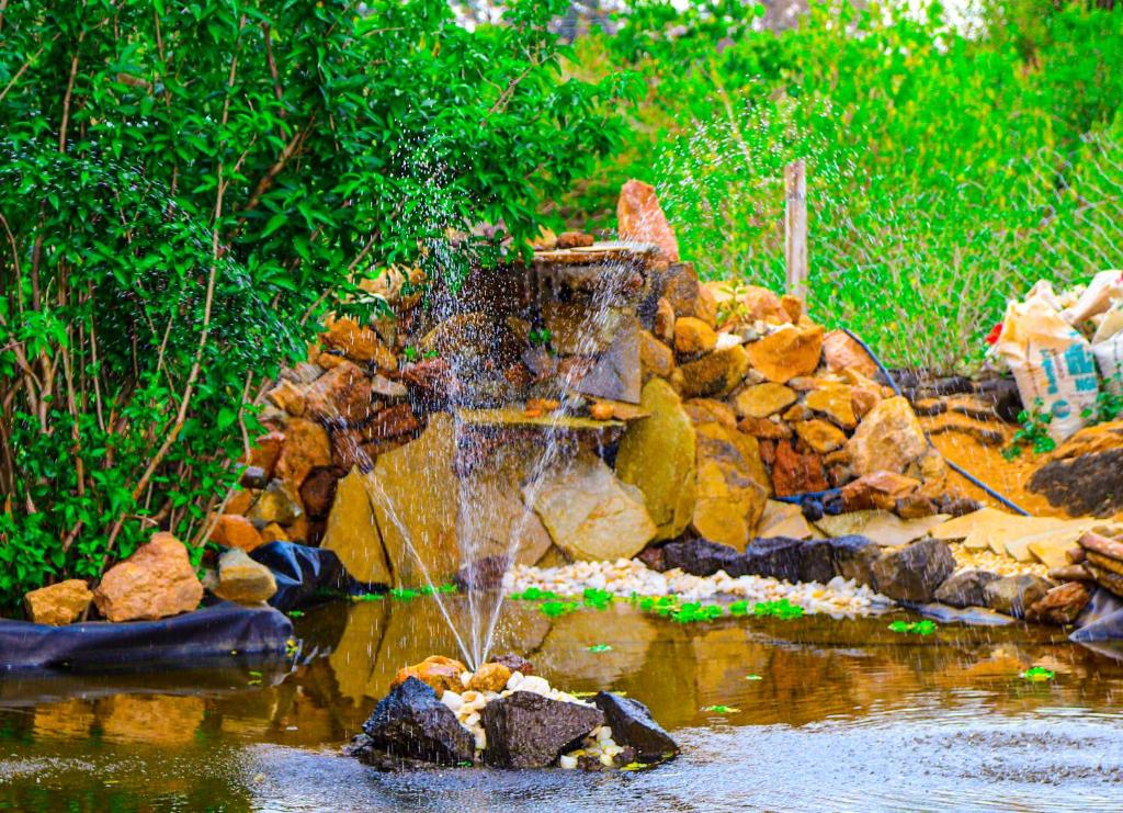 a water fountain in the middle of a pond at Kambua Resort in Libwezi