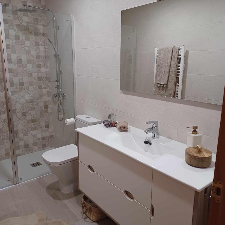 łazienka z umywalką, toaletą i lustrem w obiekcie La casa del gatico w mieście Lumbier
