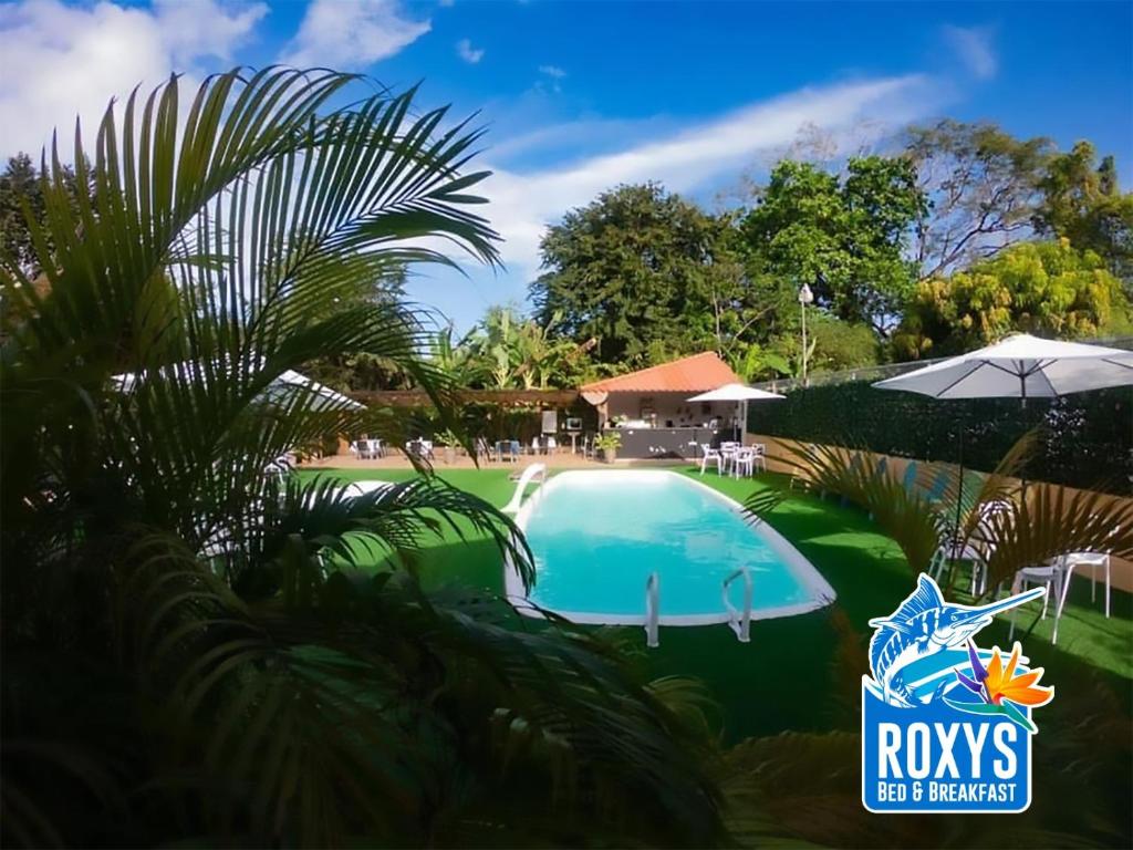 einen Pool in einem Resort mit einer Palme in der Unterkunft Roxy's Bed & Breakfast in Boca Chica