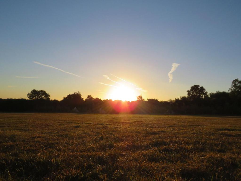 a sunset in a field with the sun in the sky at Pitch your own tent in beautiful location Kent Sussex border in Wadhurst