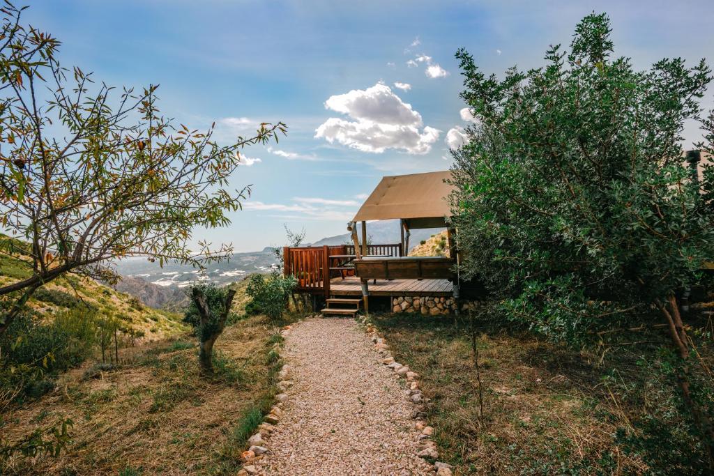 Příroda nedaleko luxury tent