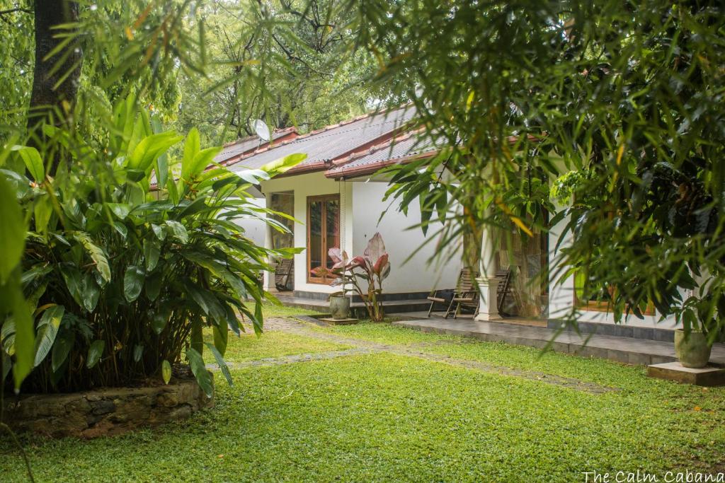 a small white house with trees and a yard at The Calm Cabana in Dambulla