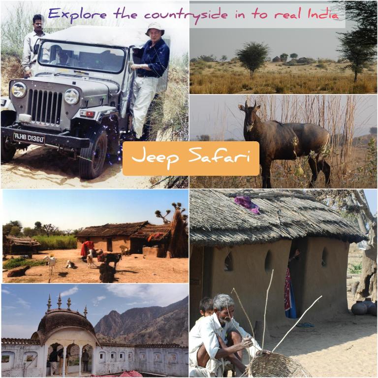 Gambar di galeri bagi Tourist Pension di Nawalgarh