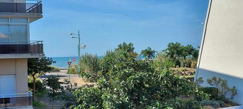 Príroda v okolí apartmánu