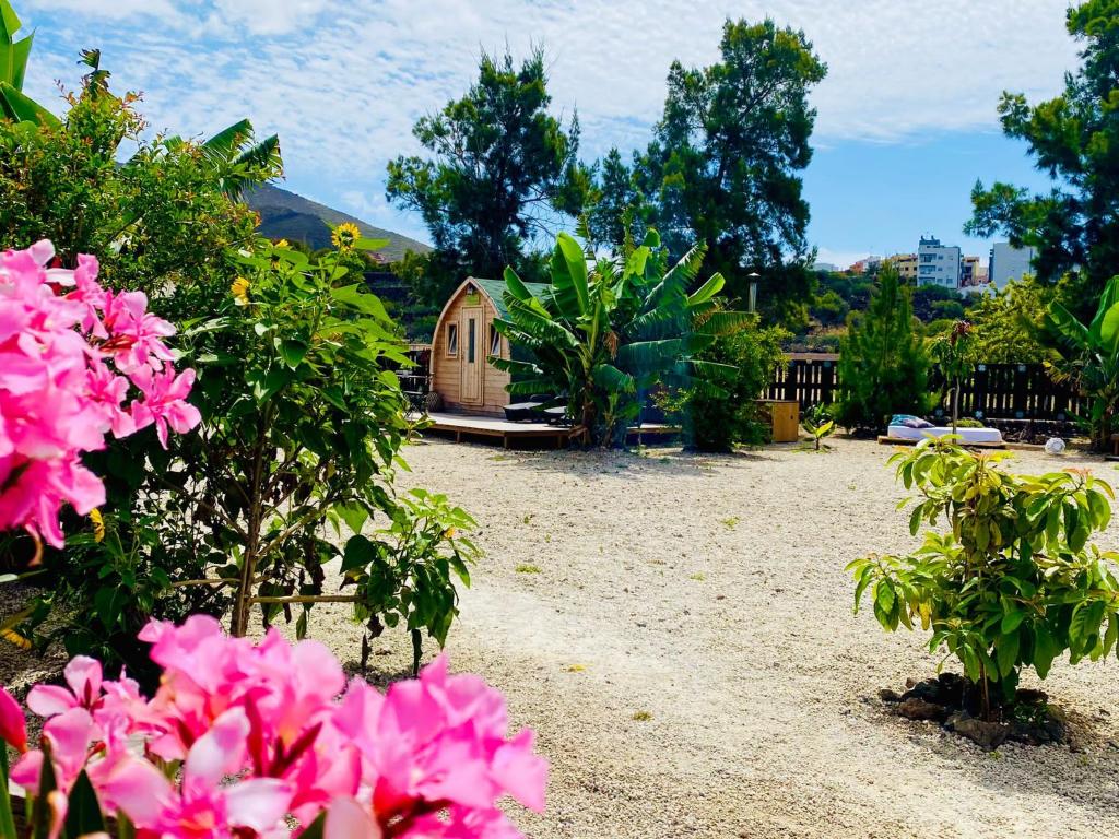 Zahrada ubytování Alisios Hot Tub, Piscina y Naturaleza