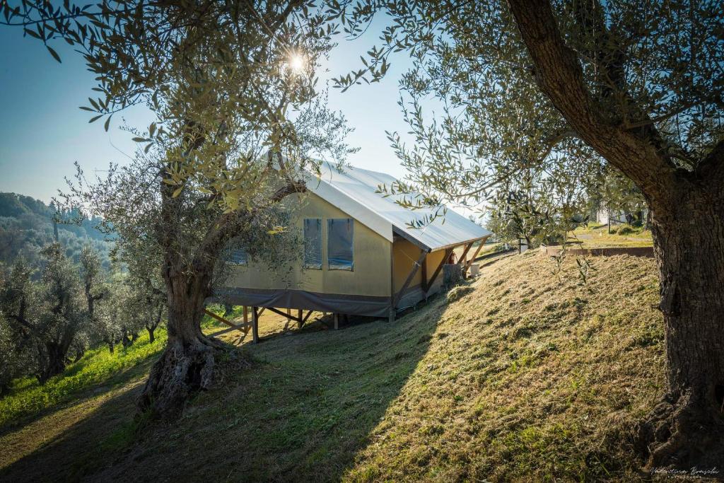 ein Haus an der Seite eines Hügels mit Bäumen in der Unterkunft Podere Cortesi in Santa Luce