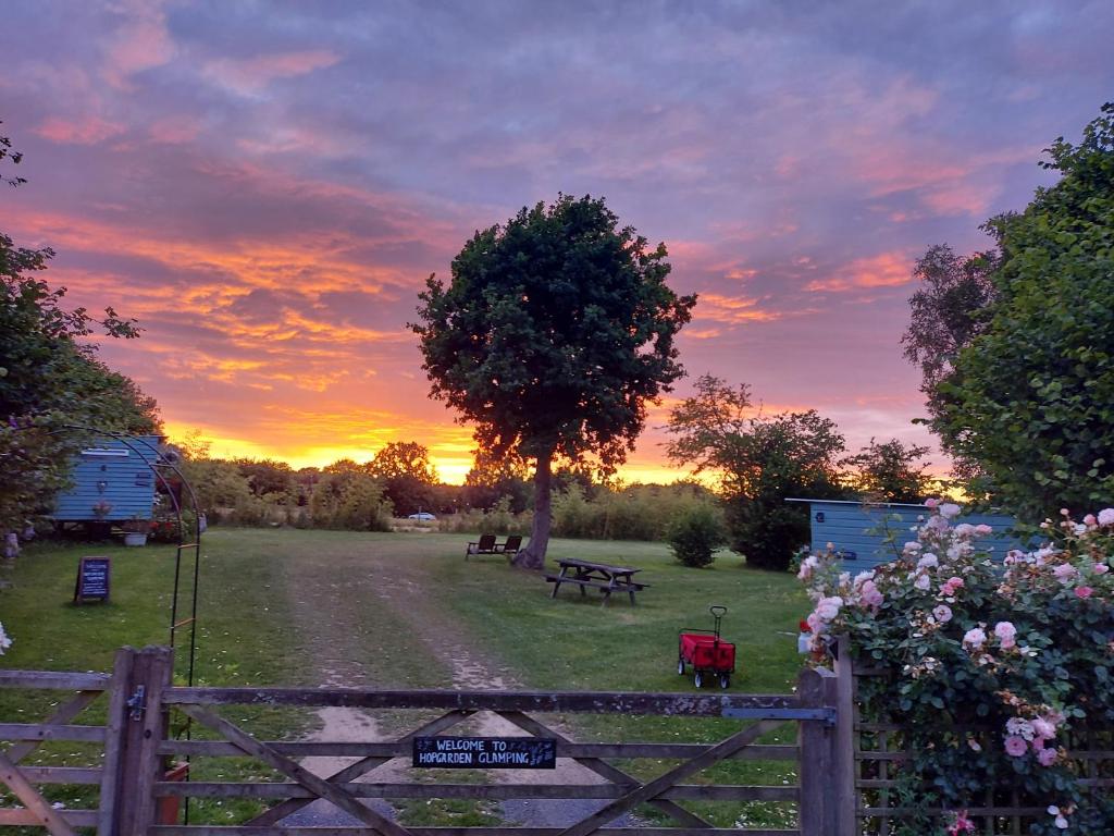 a sunset in a field with a tree and a fence at Hopgarden Glamping Luxury Shepherds Huts in Wadhurst