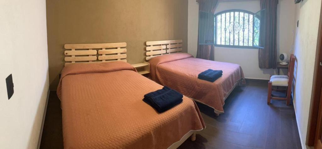 a room with two beds and a window at Hostal Casa Flor de Limón in Tepoztlán