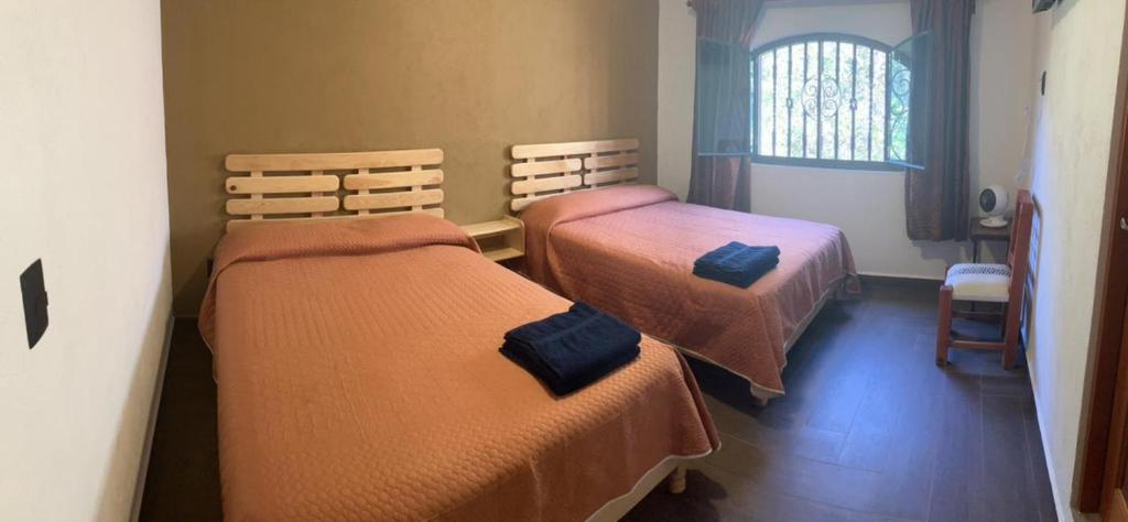 Postel nebo postele na pokoji v ubytování Hostal Casa Flor de Limón
