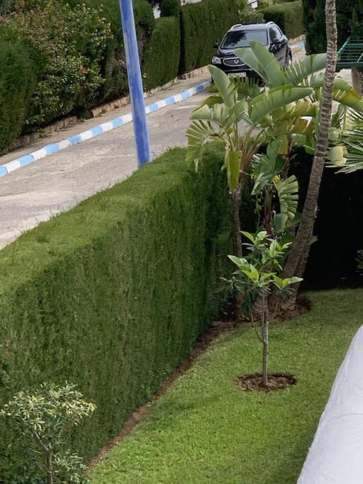 Zahrada ubytování Villa Jasmin 15