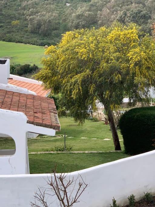 Zahrada ubytování Villa Jasmin 15