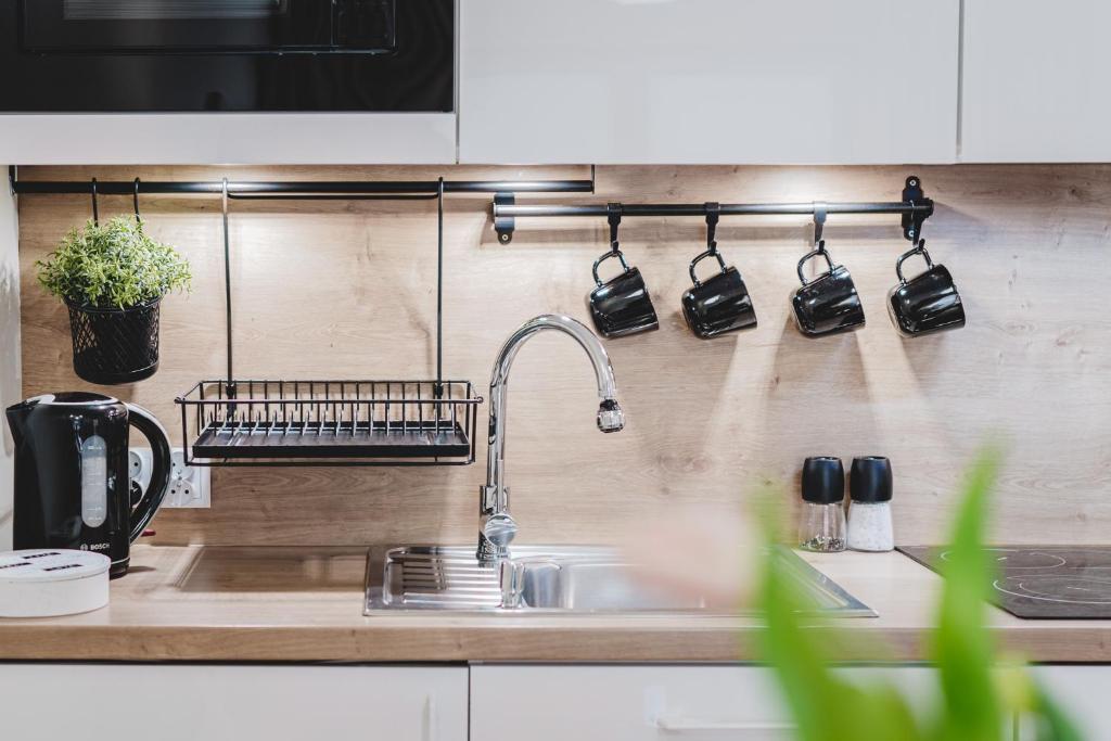 Kuchyňa alebo kuchynka v ubytovaní Apartament Niko