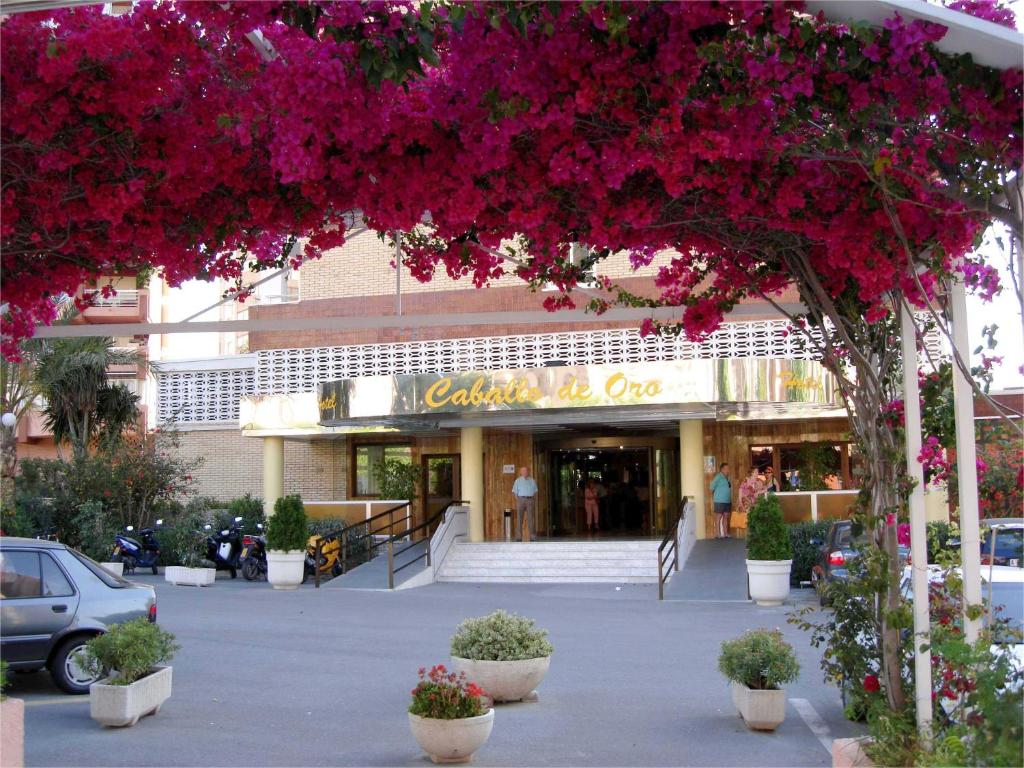 Hotel Caballo de Oro, Benidorm – Preços atualizados 2023