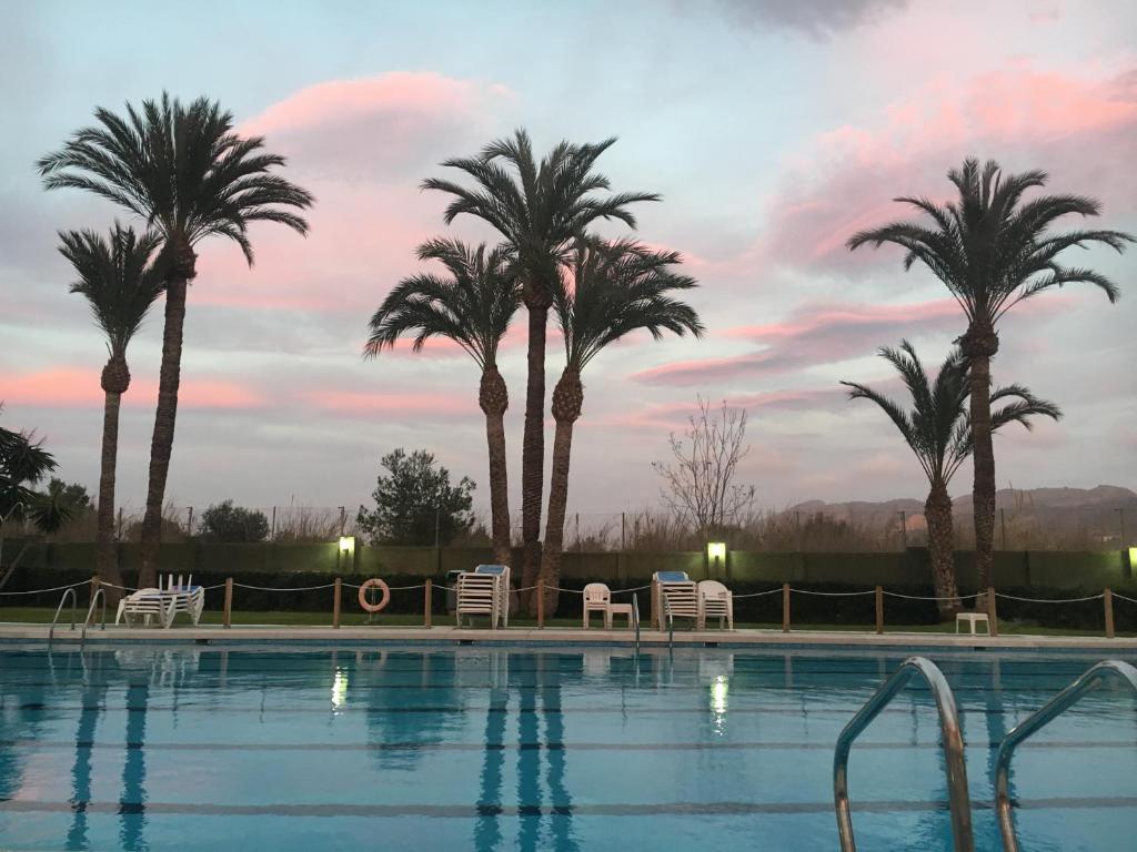 einen Pool mit Palmen und Stühlen am Abend in der Unterkunft Hotel Caballo de Oro in Benidorm