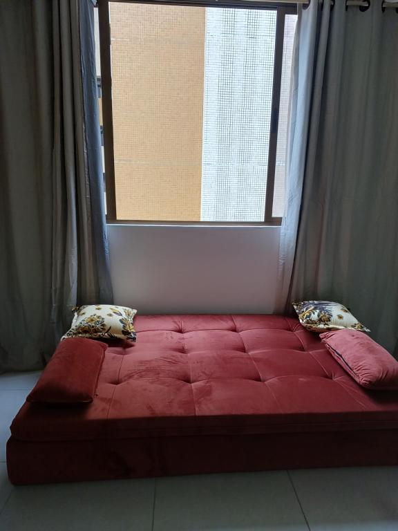 Flat lírios do cabo branco 1287 - Hizvo