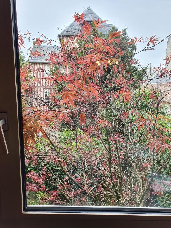 La Venelle Saint Jean - 19