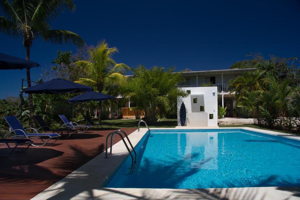 - une piscine en face d'une maison avec des palmiers dans l'établissement Hotel Horizontes de Montezuma, à Montezuma