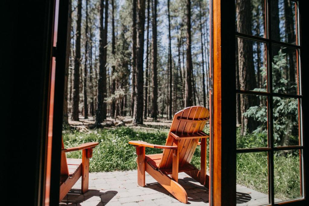 Zahrada ubytování FivePine Lodge