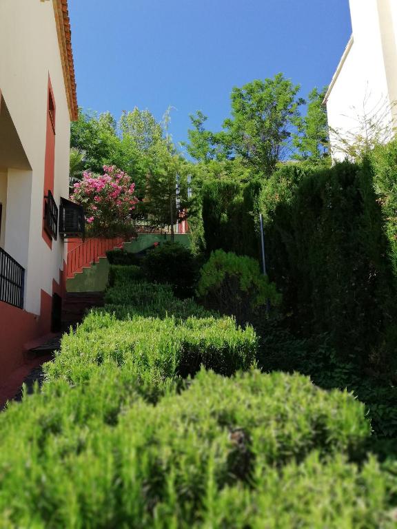Zahrada ubytování Complejo rural Mirador del Condado
