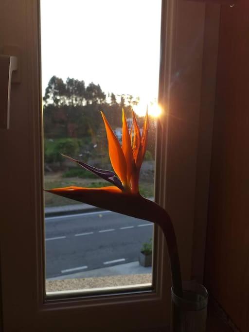 Fotografie z fotogalerie ubytování Casa Jose y María v destinaci O Grove