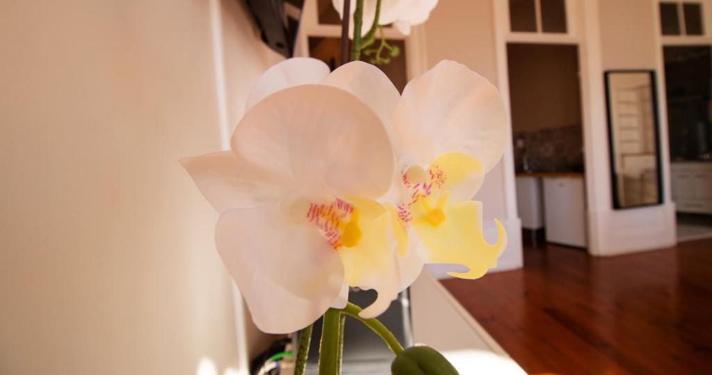 Casa do Recanto - 17