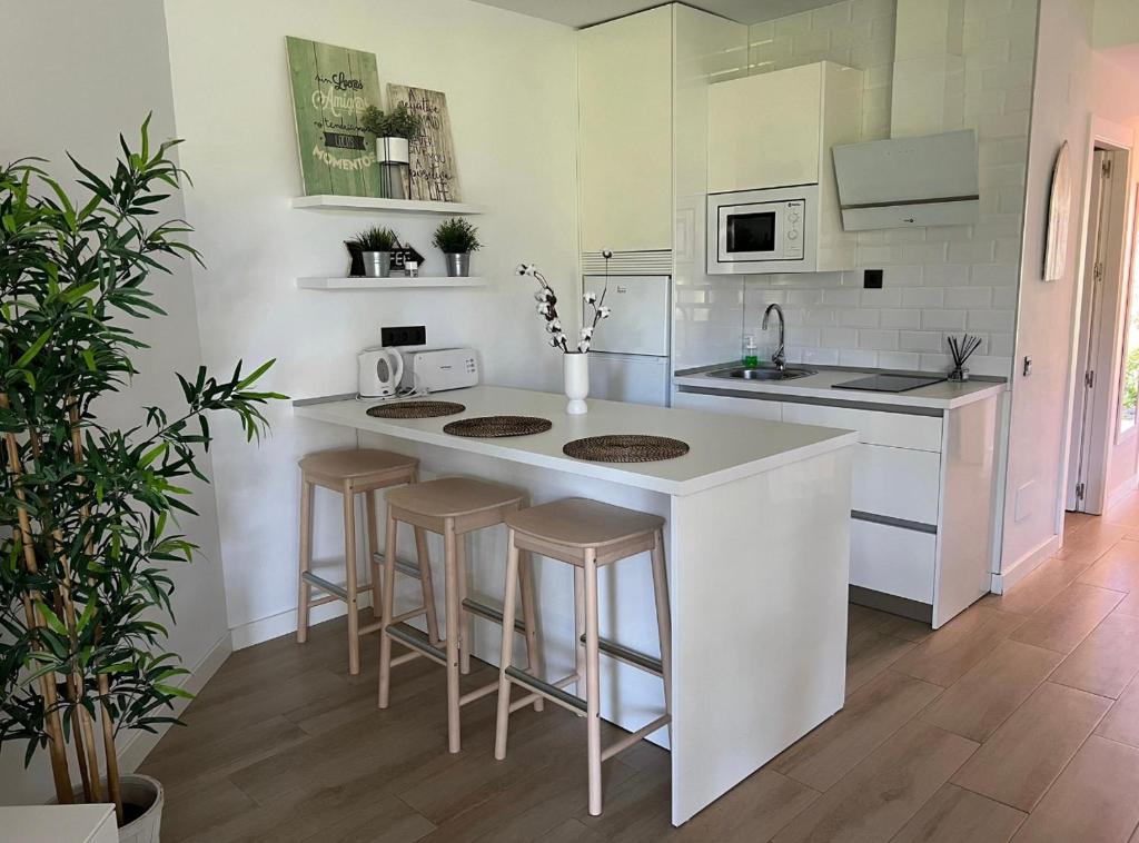 Kuchyňa alebo kuchynka v ubytovaní PUERTO BANUS Apartamento PICASSO