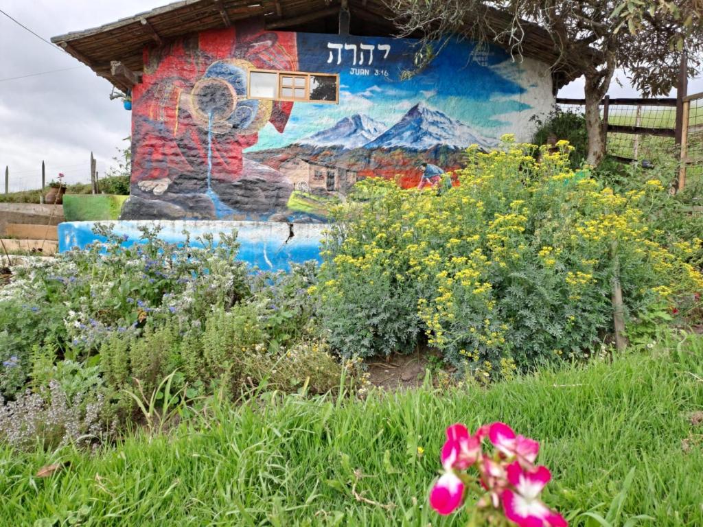 Zahrada ubytování Glamping El Reencuentro
