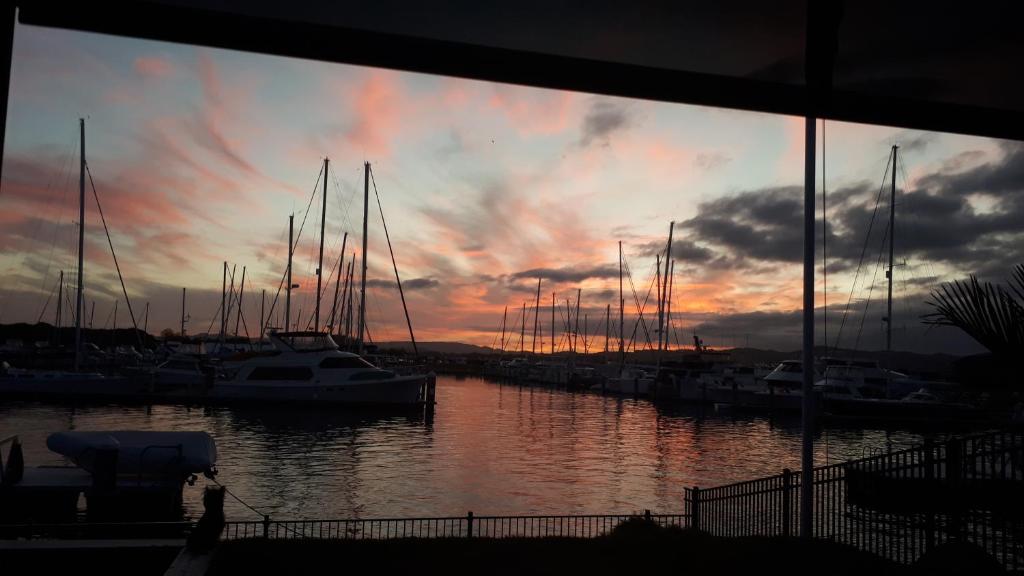 a group of boats docked in a marina at sunset at Marina Views in One Tree Point