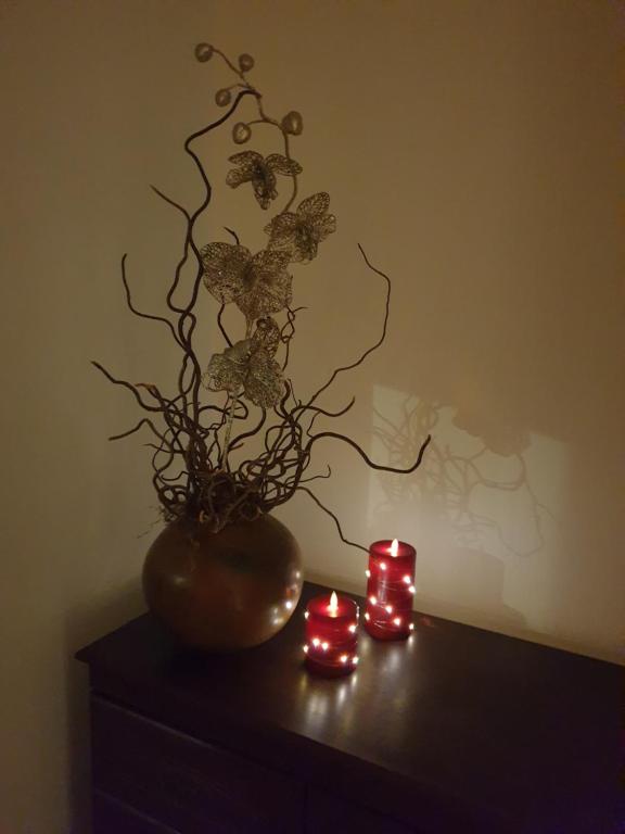 Foto sihtkohas Ilford asuva majutusasutuse Beautiful Double En-suite Room, separate entrance, Ilford, Central line Gants Hill, free parking galeriist