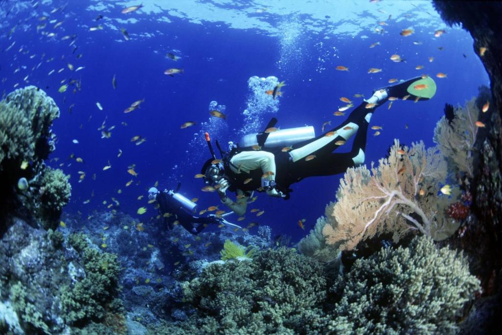 una persona está nadando en un arrecife de coral en Apartments Ars Vivendi, en Trogir