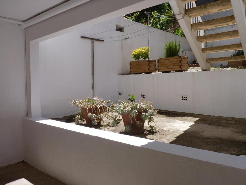 Zahrada ubytování Apartamento con terraza, parking y jardín, a 300m de la playa - ES-228-40