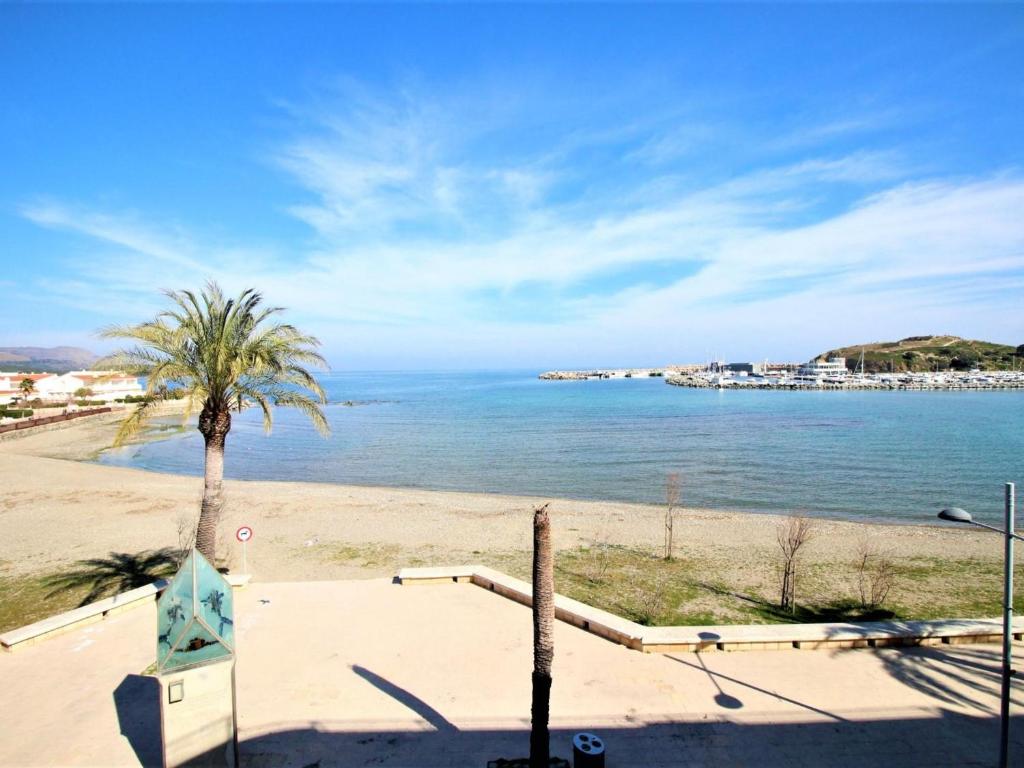 einen Strand mit einer Palme und dem Meer in der Unterkunft Apartamento Llançà, 3 dormitorios, 6 personas - ES-228-84 in Llança