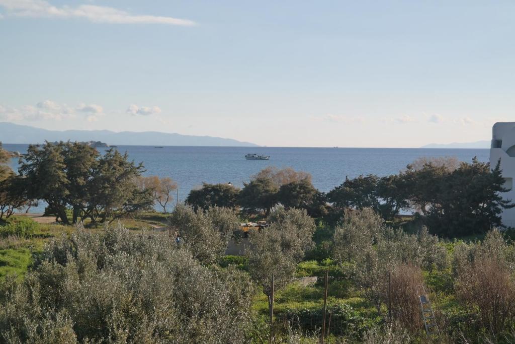 un barco en el agua con árboles y el océano en Mina's Studios in Naxos Island, en Agios Prokopios