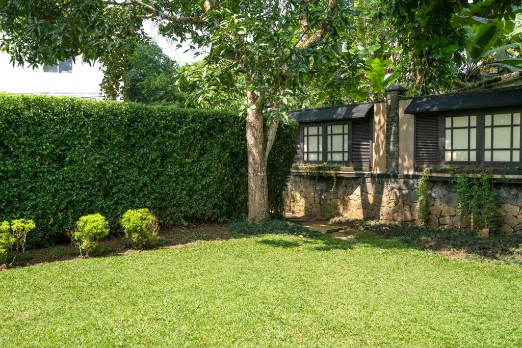 Zahrada ubytování Clove Villa