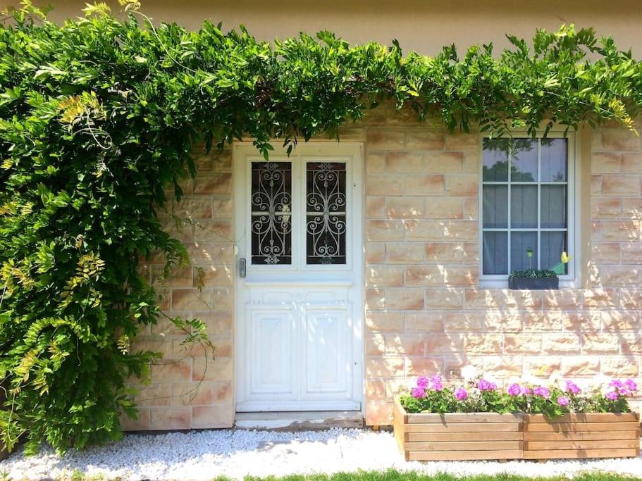 Rosebury Cottage 1 bedroom - Terrasse- Free Street parking – photo 6