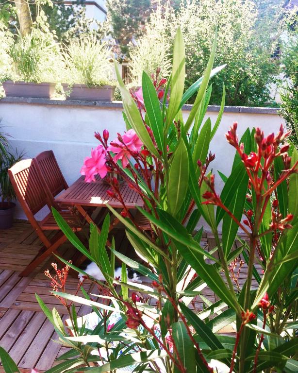 Rosebury Cottage 1 bedroom - Terrasse- Free Street parking – photo 28