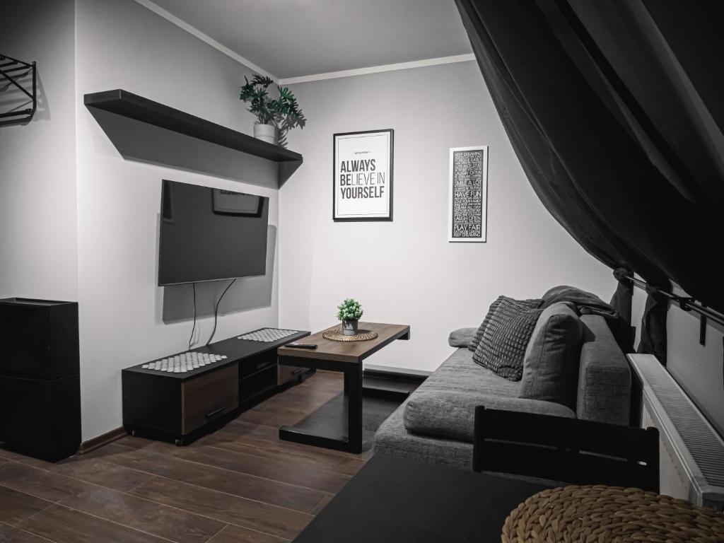 uma sala de estar com um sofá e uma televisão em Dwupoziomowy Apartament Królowej Jadwigi 3 em Bydgoszcz