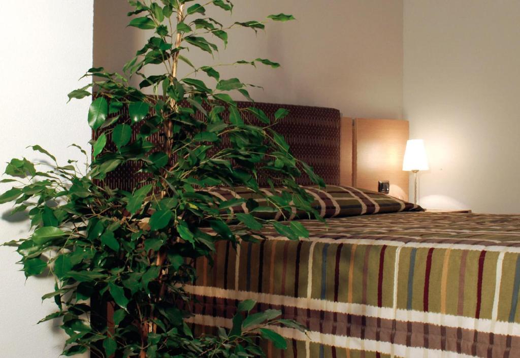 Hotel Santo Stefano - Habitación Individual