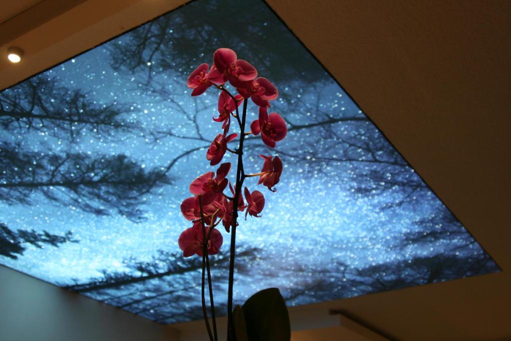 eine Vase mit roten Blumen vor dem Fenster in der Unterkunft Hotel Bel Horizon in Saint-Chély-dʼApcher