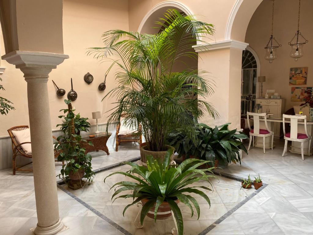 Zahrada ubytování Santo Domingo - Centro