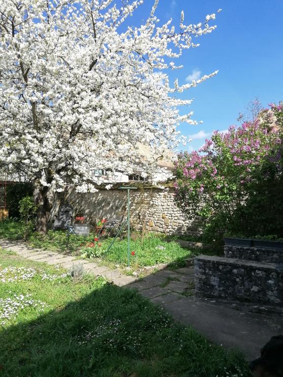 a tree with white flowers in a yard at Chez Mary in Soisy-sur-École